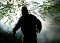 Is Bigfoot real? You likely already know the answer.