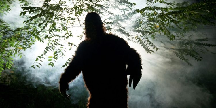 Is Bigfoot real? You likely already know the answer.