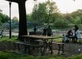 The Disparities in Access to New York’s Parks