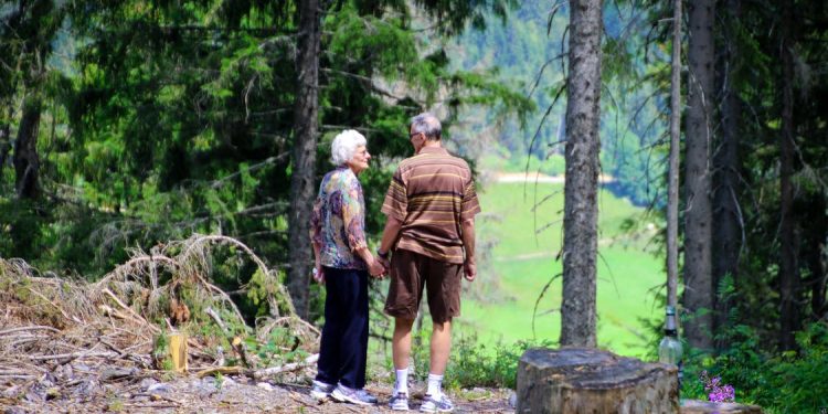 Being Surrounded by Nature Is Good for the Elderly