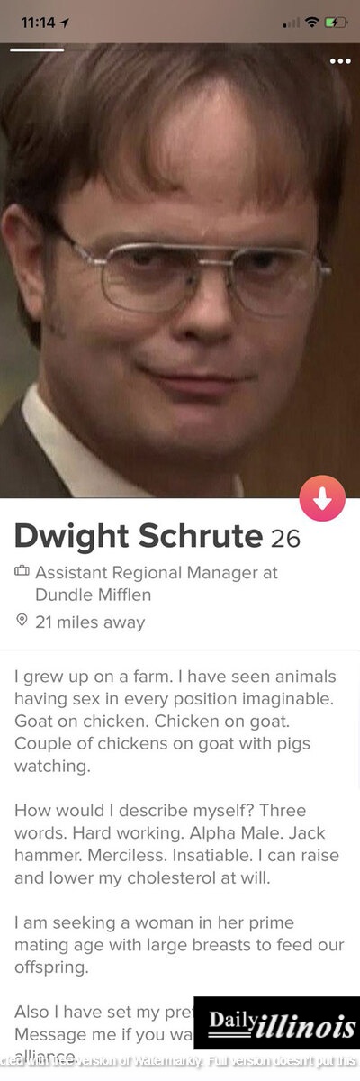 Tinder funny bio men