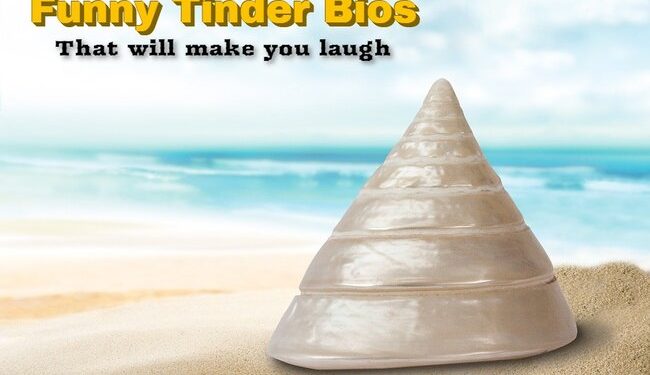 funny tinder bios