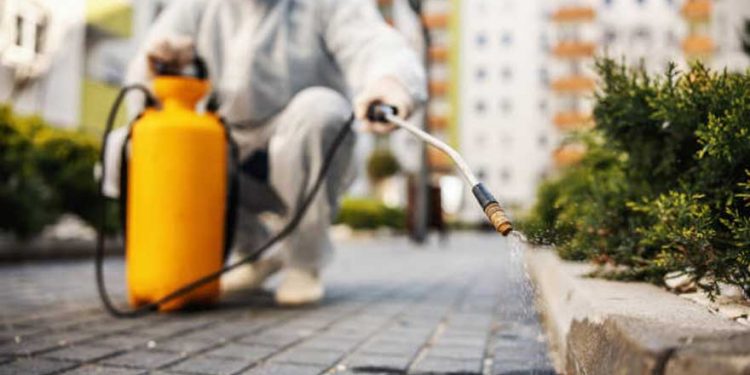 How-to-prevent-termites