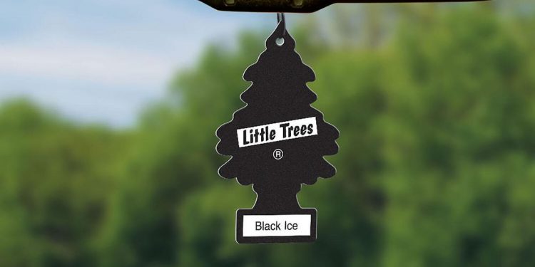 Little Trees promo