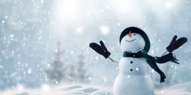 Quotes About Snowmen