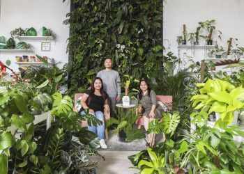 Rare houseplants sold in Huntington Beach, Garden Grove shops