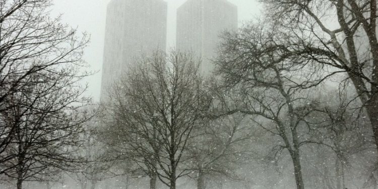 Best Winter Activities in Illinois