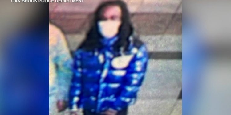 Oakbrook Mall shooting: 4 shot inside Oakbrook Center, 1 in custody, police say