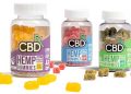 books-about-CBD-gummies