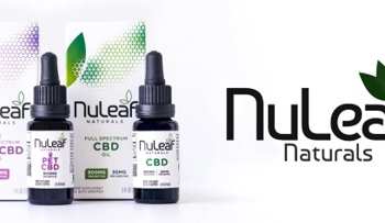 Should One Consume CBD Before Or After Meals?