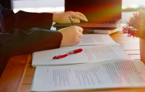 Best essay writing services in the USA