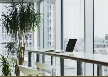 7 Unique Ideas You Can Use to Add Life to Your Office