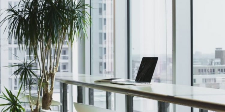 7 Unique Ideas You Can Use to Add Life to Your Office