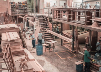 All You Need To Know About Asia Pulp And Paper In Asia