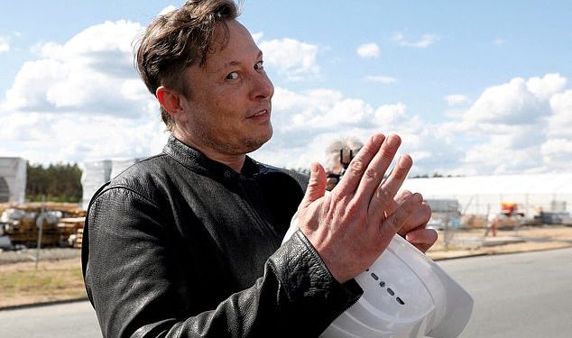 Elon Musk, 50, hired Jared Birchall in 2016 to manage his finances, and now directs enquiries about the Twitter takeover to Birchall's Austin office