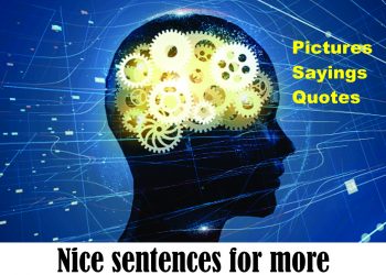 phrases to think about