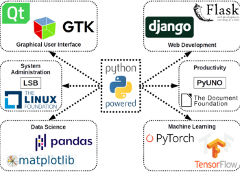 Why Should Your Company Use Python for Business Analytics?