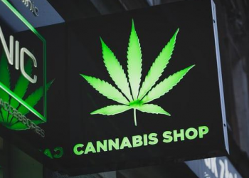 Financing Work-arounds In A Cannabis Business Venture