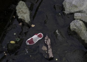 $1 million project aims to restore habitats at Bubbly Creek