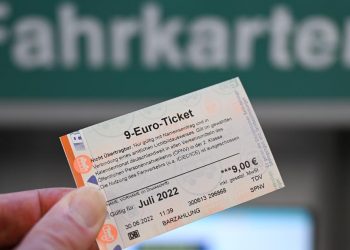 Germany's 9 euro ticket has created 'momentum' for cheap public transport