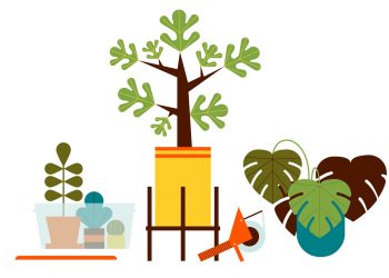 Illustration of plants being packed in bins and boxes.