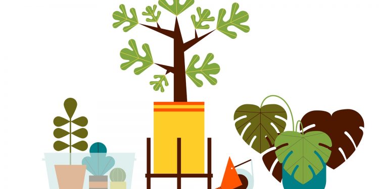 Illustration of plants being packed in bins and boxes.