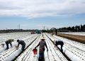 Inside the Inflation Reduction Act: $20 billion to help fix our farms