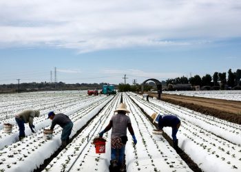 Inside the Inflation Reduction Act: $20 billion to help fix our farms