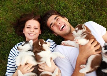 Key Insights On Five Entrepreneurial And Small Business Opportunities That Could Become National Brands