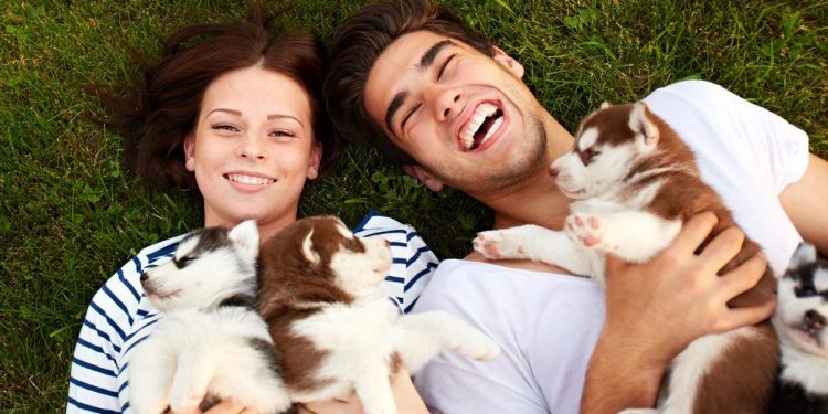 Key Insights On Five Entrepreneurial And Small Business Opportunities That Could Become National Brands