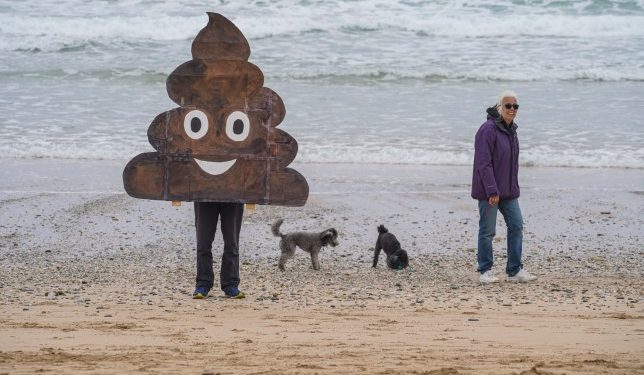 A dog walker passes someone dressed as the poo emoji protesting sewage in rivers