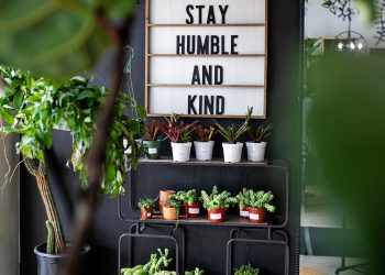A sign reading "always stay humble and kind" hangs on a wall surrounded by potted plants indoors.