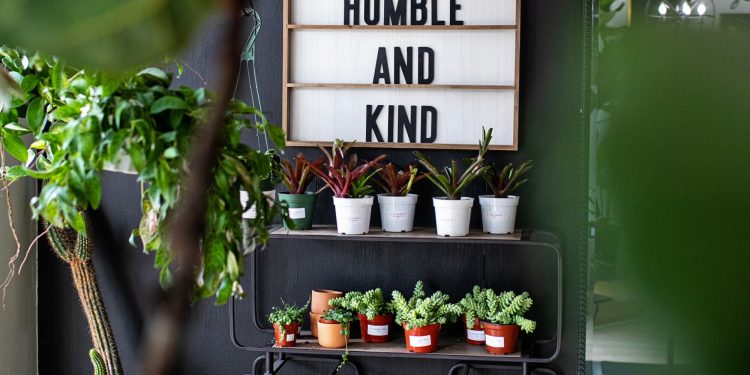 A sign reading "always stay humble and kind" hangs on a wall surrounded by potted plants indoors.