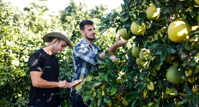 The Impact of AI and Big Data within the Food Industry