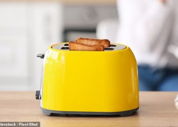 Toasters are one of the bizarre items that Britons have admitted to taking on holidays