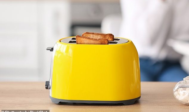 Toasters are one of the bizarre items that Britons have admitted to taking on holidays