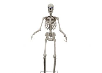 Home Depot Skeleton Alternatives