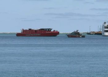 Navy Pier 3 year old: Des Plaines woman accused of pushing child into Lake Michigan, not trying to rescue him