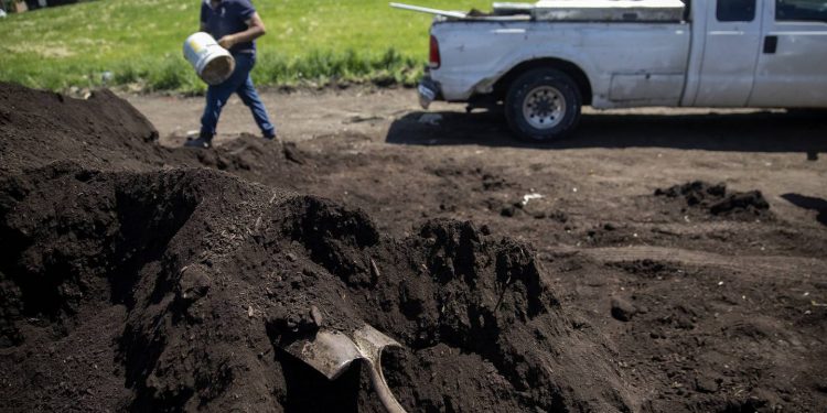Sludge containing forever chemicals promoted for home gardens