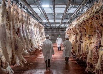 Plant employees can perform meat inspections, court rules