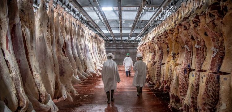 Plant employees can perform meat inspections, court rules