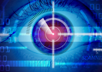 Data Protection Officer Tasks