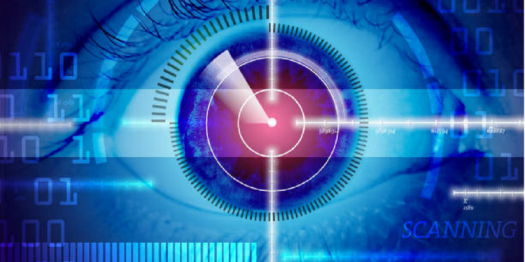 Data Protection Officer Tasks