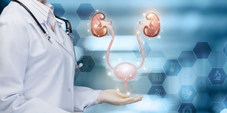 Cure for a Weak Bladder Following Childbirth?