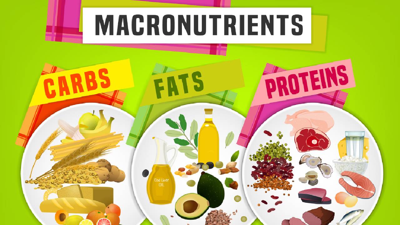 Understanding Macronutrients