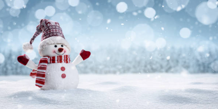 Chillin with Snowman Quotes for Winter Lovers