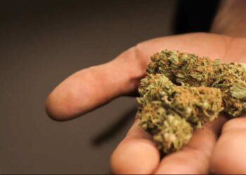 Illinois sets a new record for cannabis sales. Doctors notice an increase in psychotic disorders due to the use of cannabis
