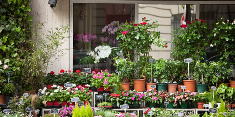 Huntsville Florist & Flower Delivery Find The Best Flower Shop