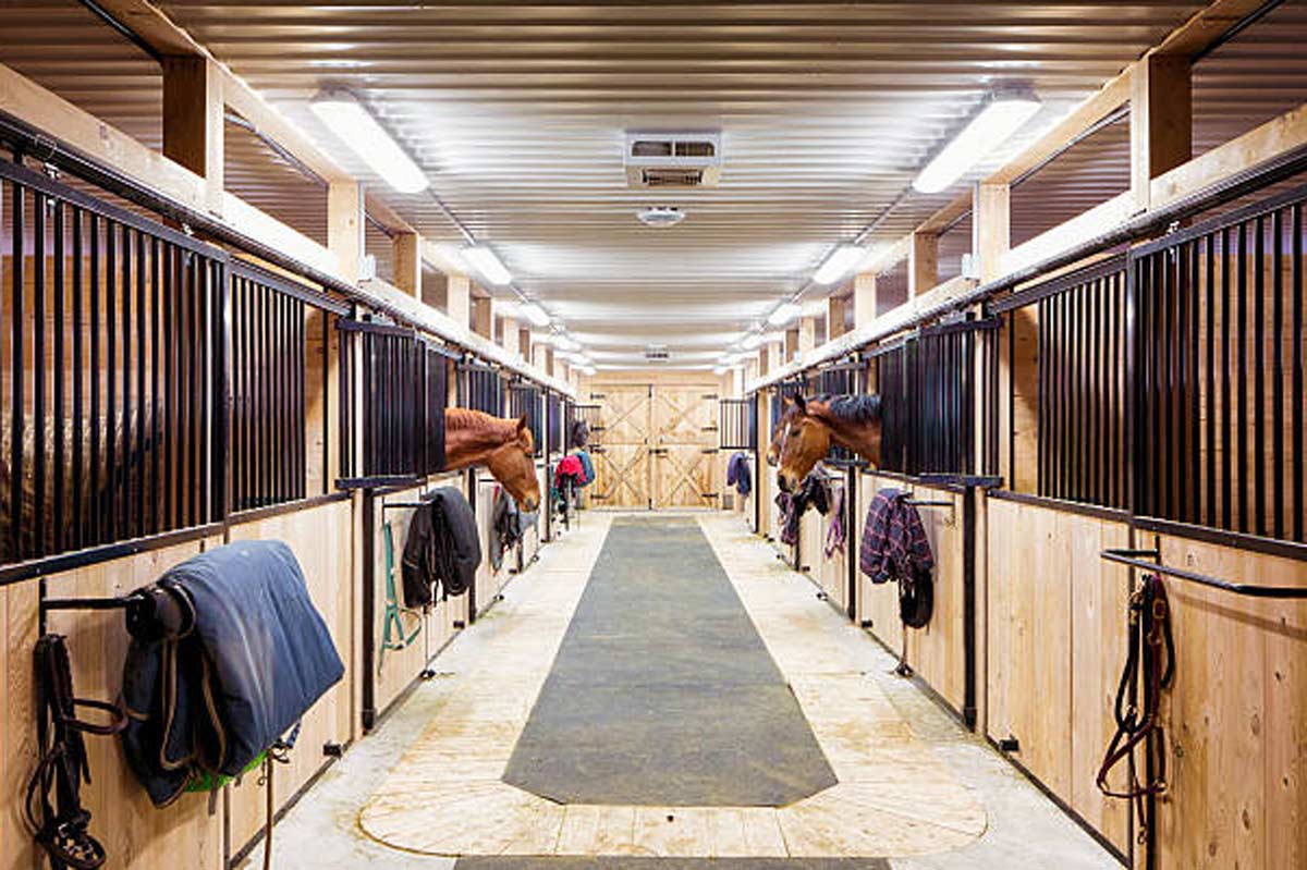 Stables to Rent Horses