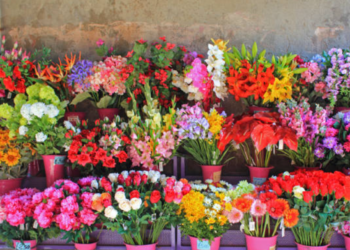 Waco Florist and Flower Delivery Find the Top Flower Shop